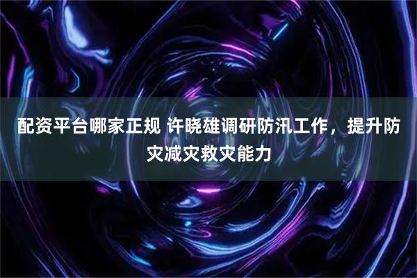 配资平台哪家正规 许晓雄调研防汛工作，提升防灾减灾救灾能力