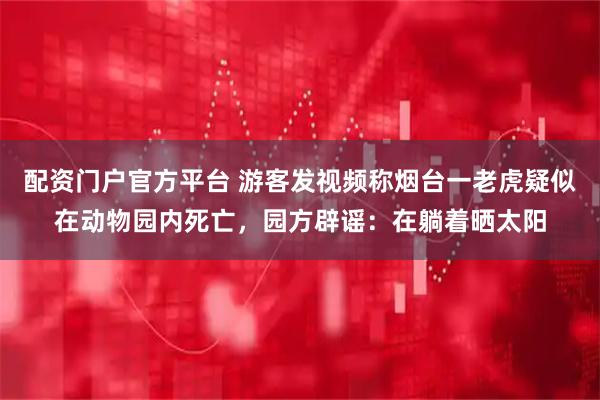 配资门户官方平台 游客发视频称烟台一老虎疑似在动物园内死亡，园方辟谣：在躺着晒太阳